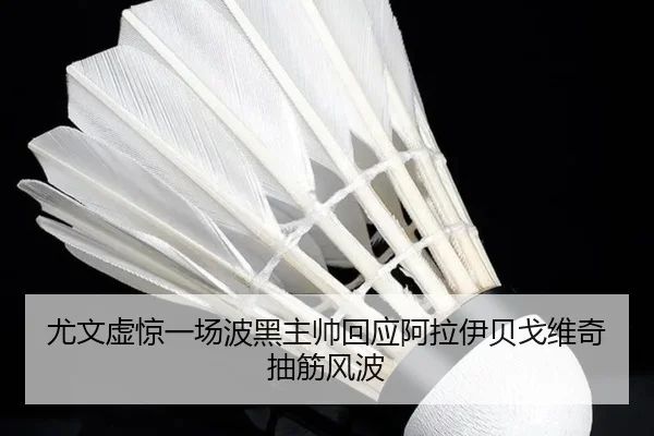 尤文虚惊一场波黑主帅回应阿拉伊贝戈维奇抽筋风波